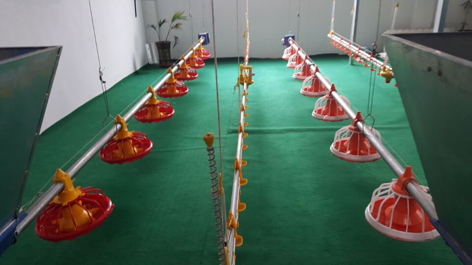 plastic Chicken feeder parts Automatic feeding tray for poultry poultry farming feeding tray