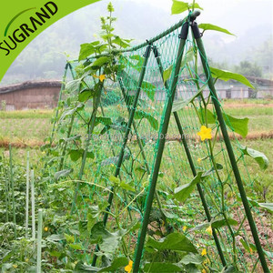 support net garden nylon trellis netting  support climbing bean