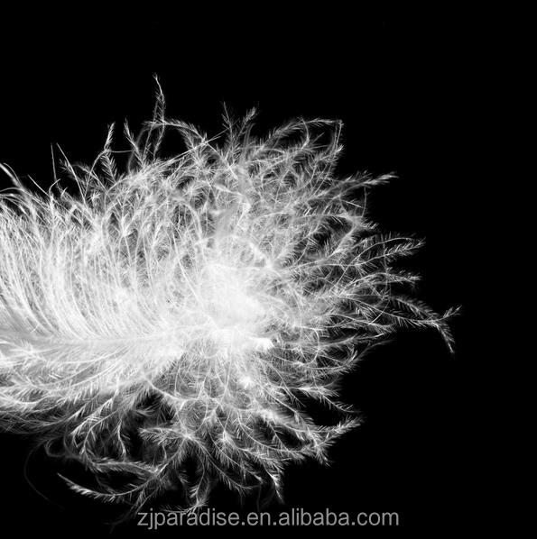 Горячая продажа EN 12934 класс 1 WDD 90% W мин 83% чистая вниз Свяжите Омывается белый утиный пух