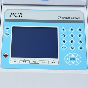 Automatic Bird Dna Test Precise And Scientific Alibaba Com