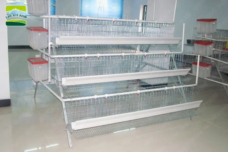 Long lifetime h type quail cage design for poultry farm fully automatic factory price