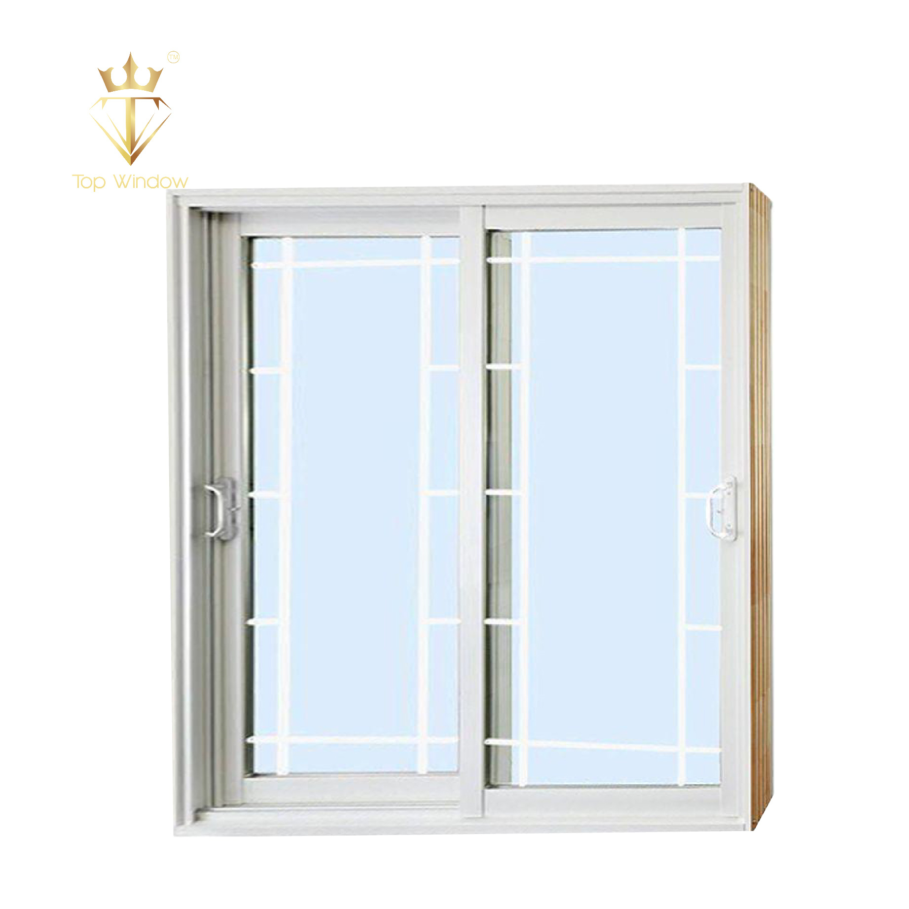 Topwindow بويرتا corrediza كتيمة الفقرة الباحة 10 سنة الضمان السكنية مزدوجة الصقيل للماء الباحة انزلاق الباب