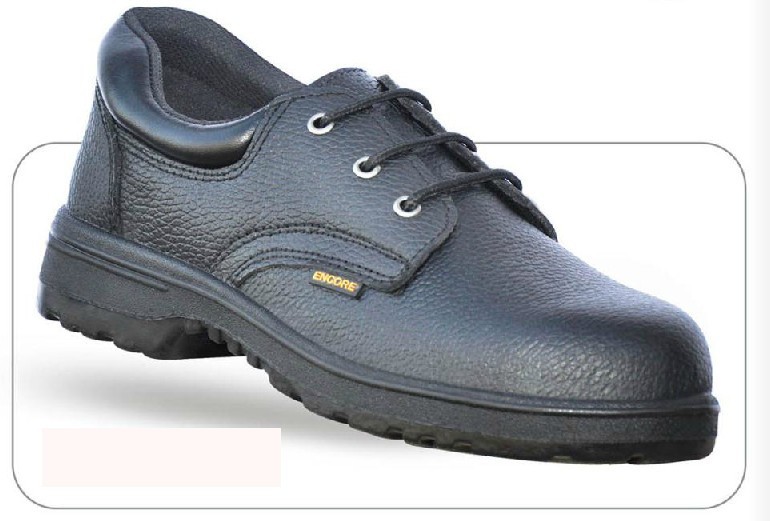 safety shoe distributors near me