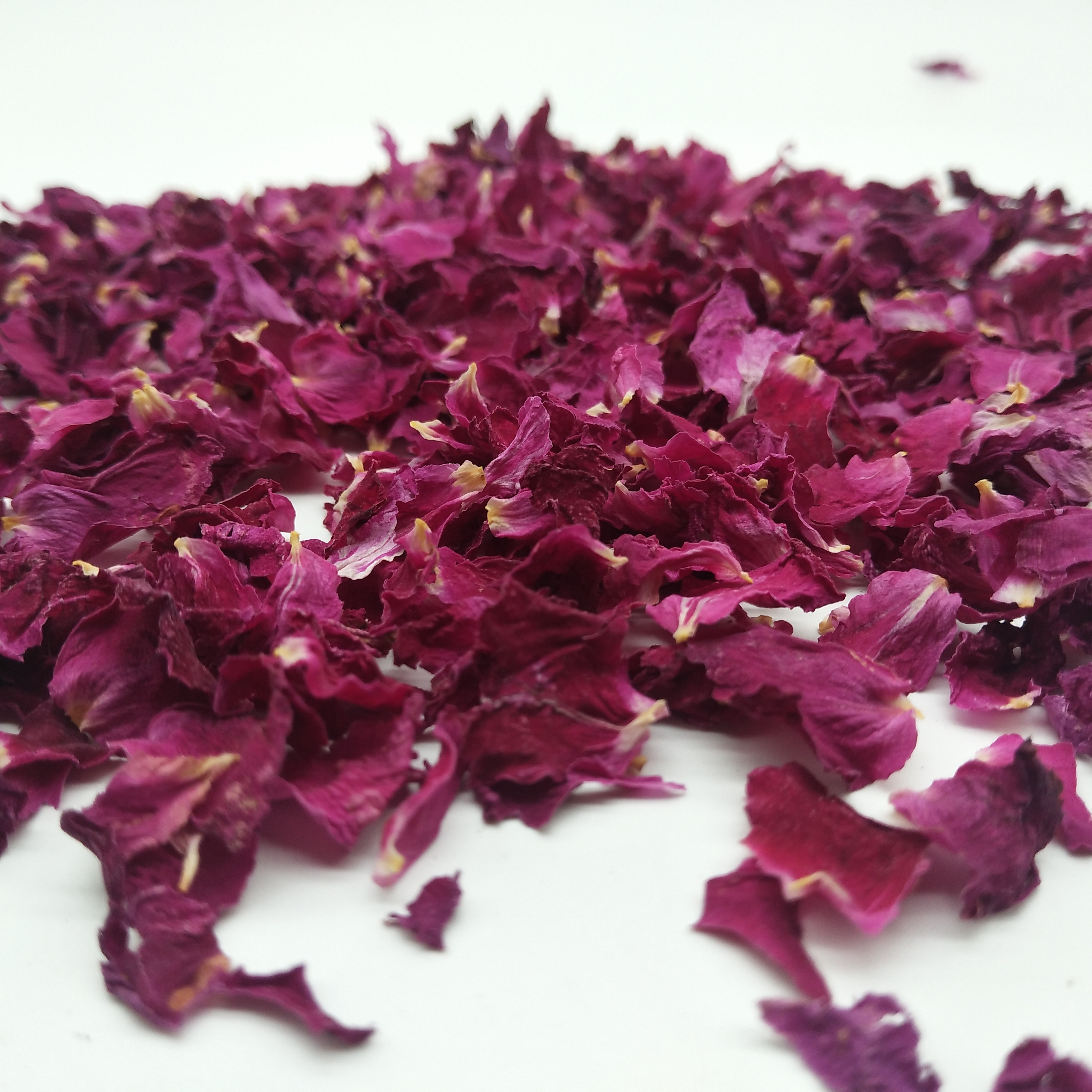 лепесток цветка. бугенвиллия лепестки.