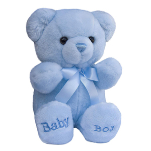 baby boy blue teddy bear