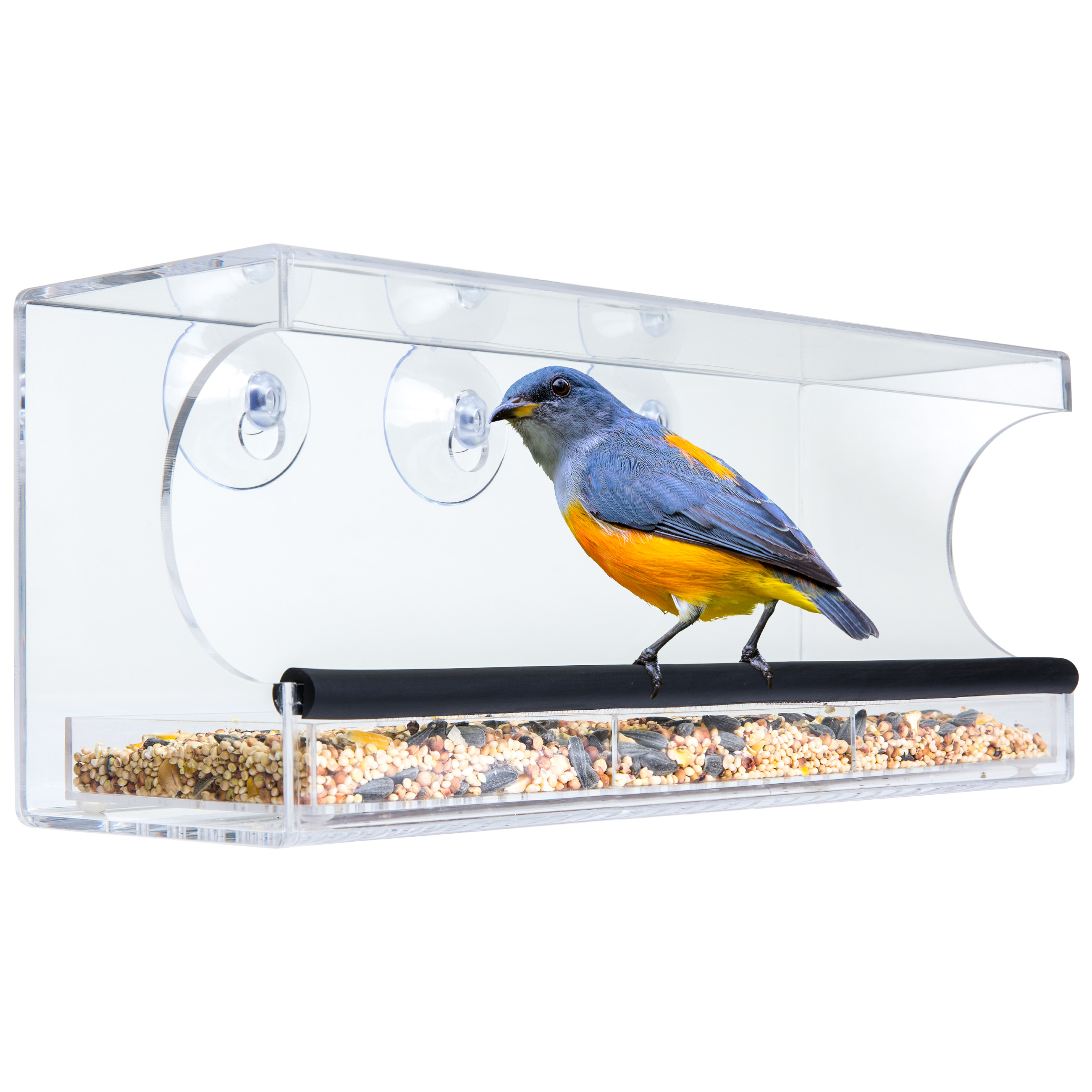 Rubbermaid Bird Feeders Rubbermaid Bird Feeders Suppliers And