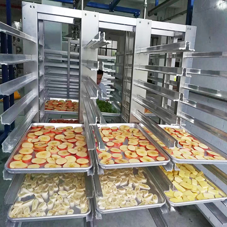 дегидратор 20 лотков. сушеные фрукты. сушка пищевых продуктов. сушка пищевых продуктов. вакуумная камера для лиофильной сушки.