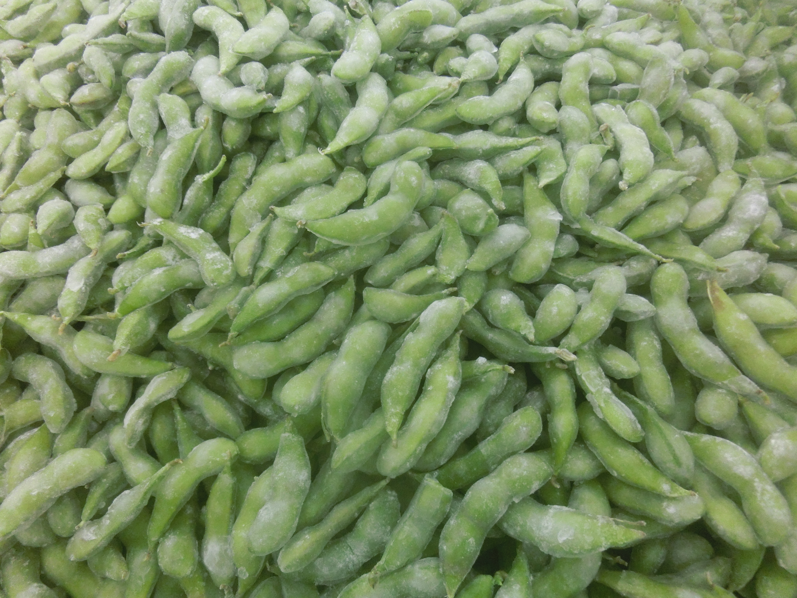 замороженные бобы. зеленые бобы. зеленые бобы вкусвилл. бобы эдамамэ. Hortex средиземноморские.