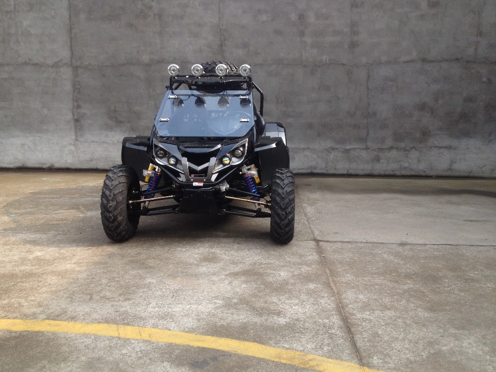 rl1500 buggy