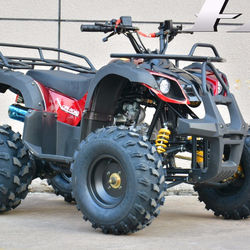 ATV 110CC/125CC Quad