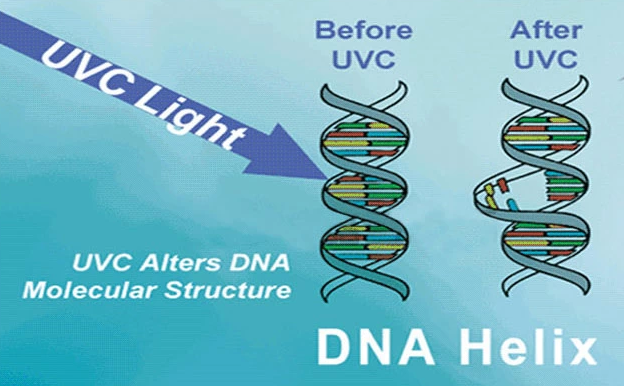 물 UV 살균기 물 정화 동작을 마시기