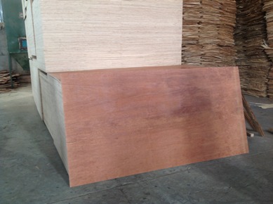 Commercial Plywood (8mm x 1220mm x 2440mm)