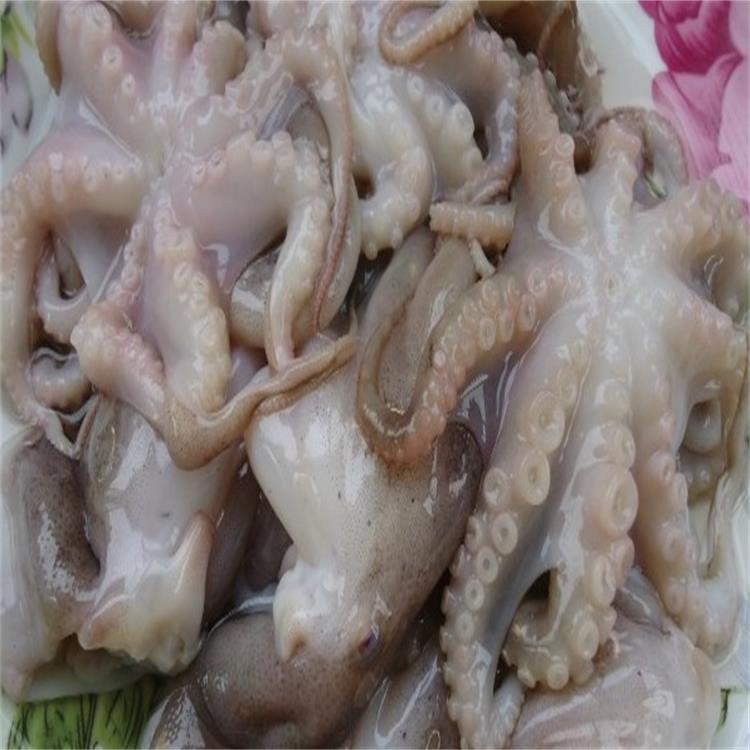 Осьминог мороженный. Как приготовить осьминожек замороженных. Осьминожки готовые. Осьминог в морском коктейле. Осьминог свежемороженый.