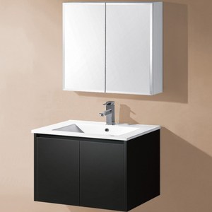 Catálogo de fabricantes de Baños Home Depot de alta calidad y Baños