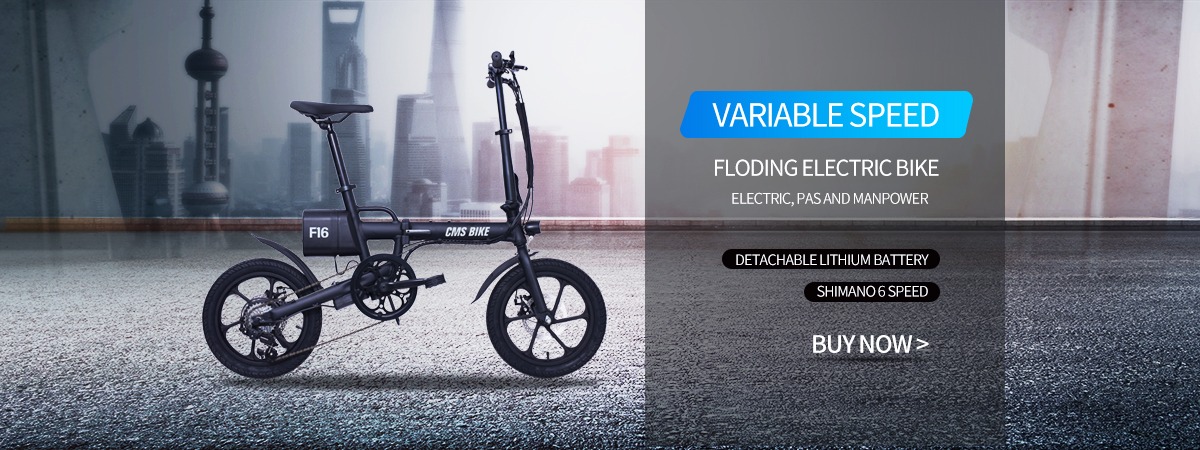 Changzhou Mantis Vehicle Co., Ltd. - folding electric bike 