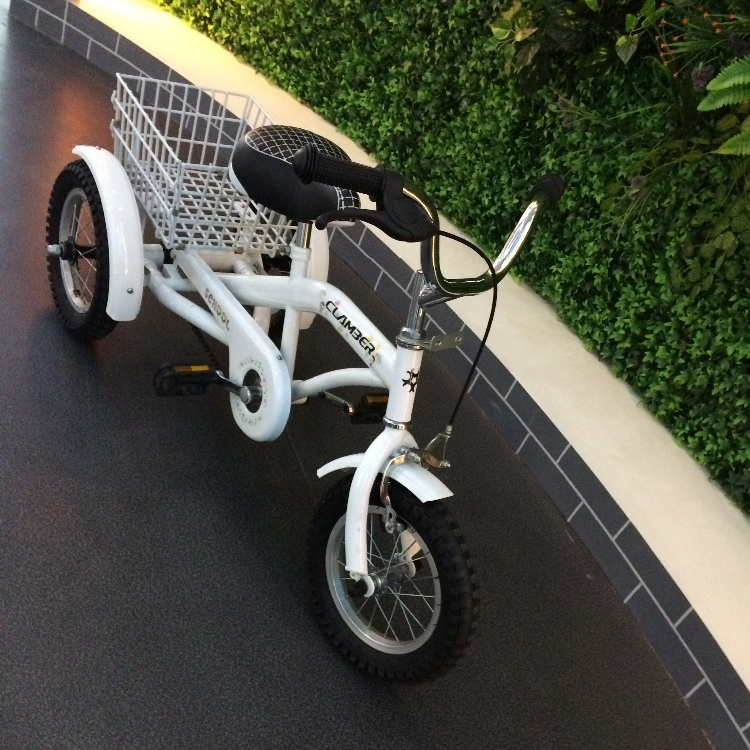 adult tricycle trailer