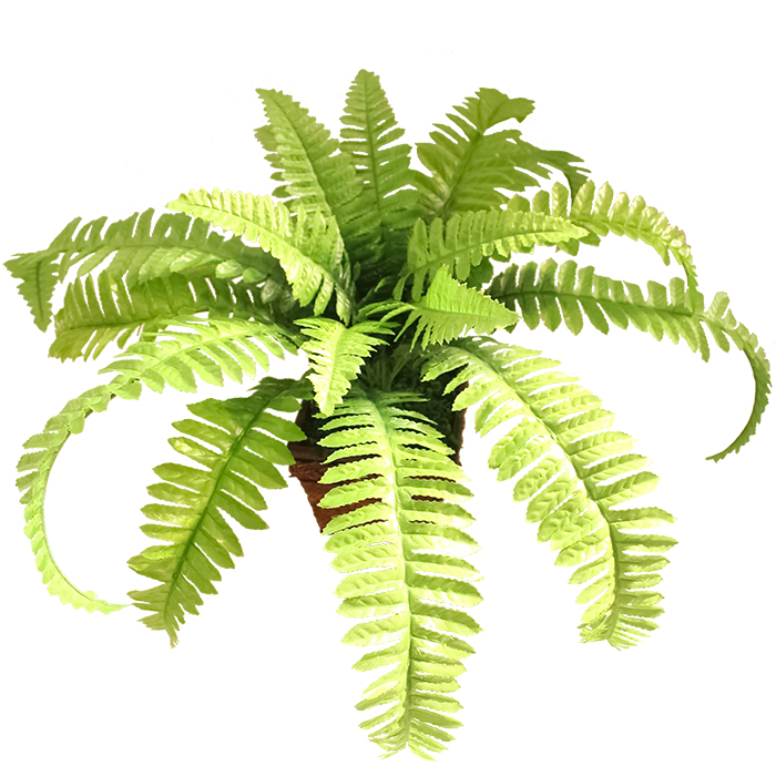 Mini Plantas Samambaia Para Paisagismo Artificial Pequeno Falso Planta de Plástico Revestimento de Parede Venda