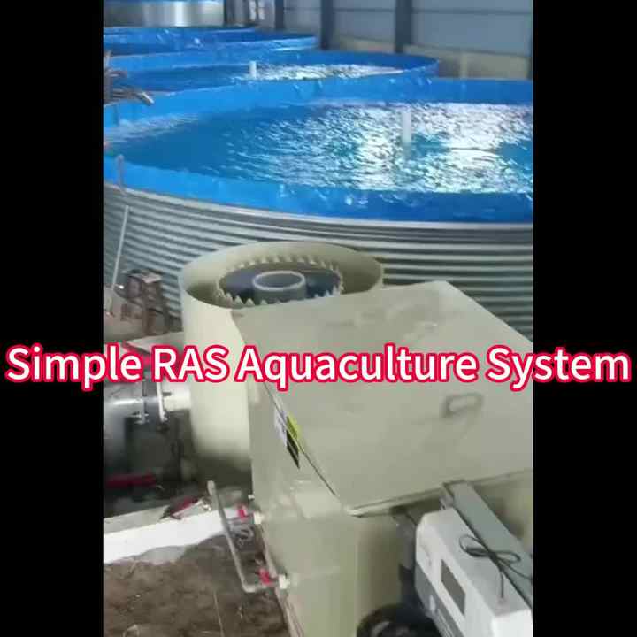 Fish Ras Dimensions SDM RAS System Tarpaulin Fish Farming Tanks for Fish Pond