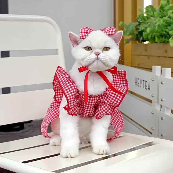 Modern Polyester Pet Clothes for Spring Summer Embroidered Princess Vest  Strap Striped Plaid Skirt Suspender Cat Dress Bow Tie