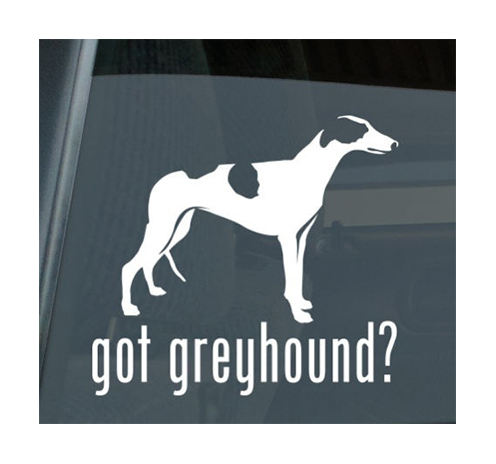 Mister Petlife Got Greyhound Sticker Vinyl Auto Window english