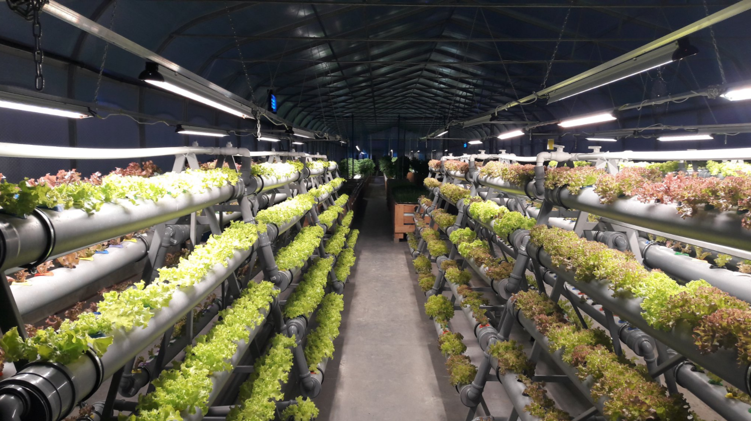 led室内垂直农业光谱生长灯园林植物水培生长系统迷你microgreens种子