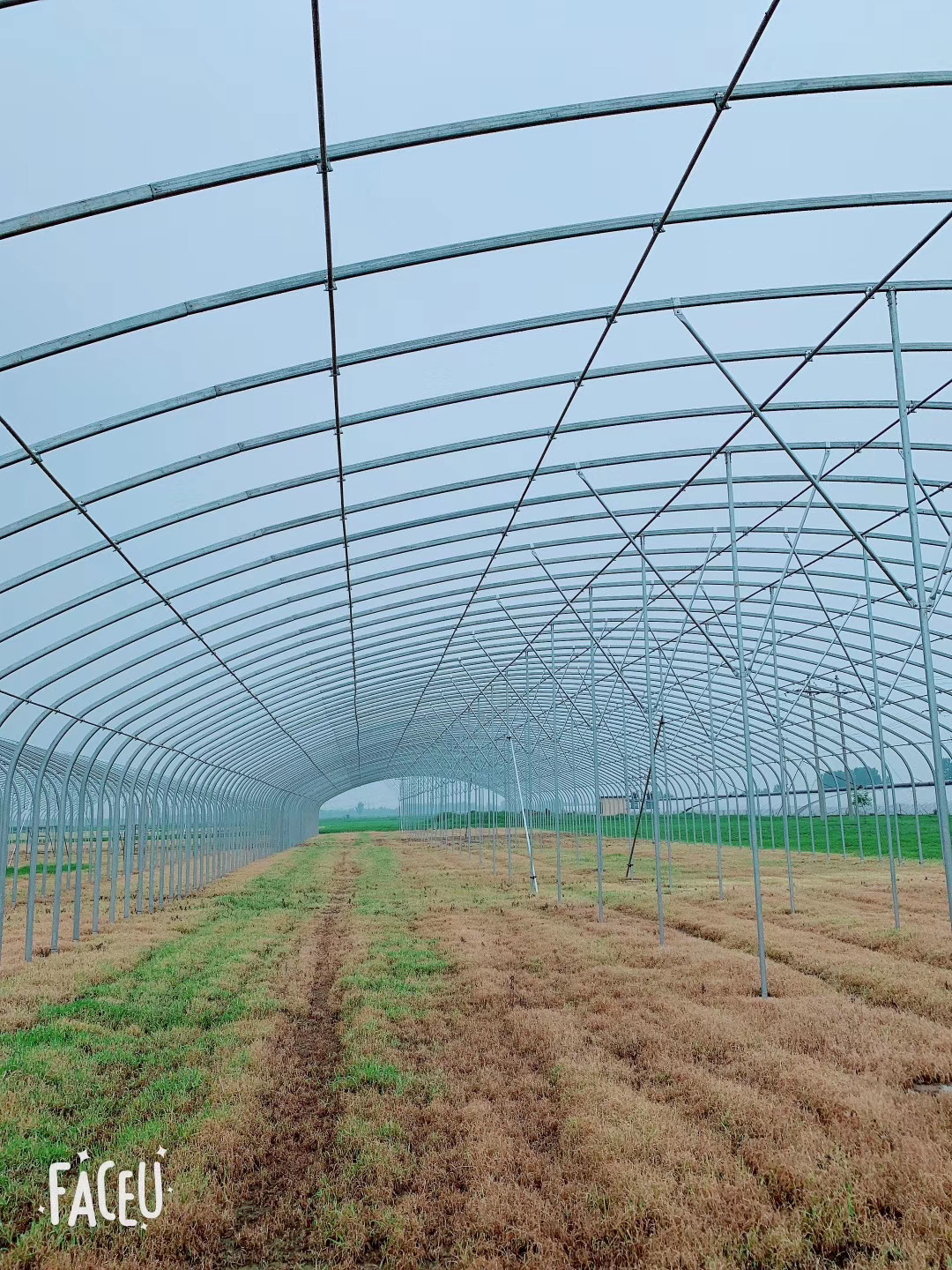 Q345 Electro Galvanized Welded Steel Pipe Hot Dipped 2.5mm-80mm