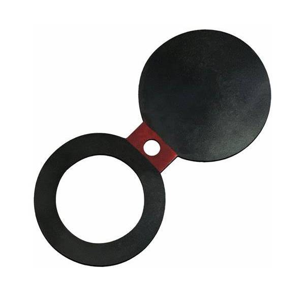 Customized Forged Steel Flanges Available for Different Customer Requirements
