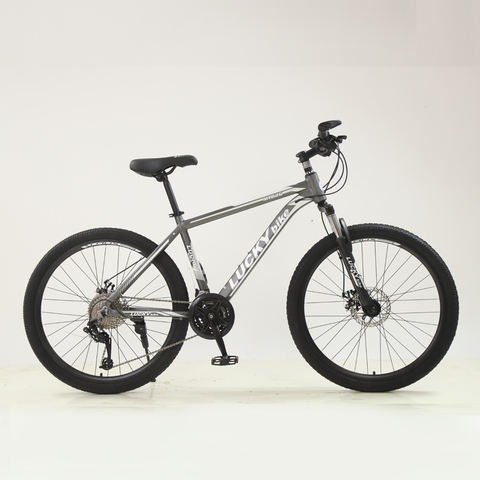 tianjin deseo bicycle co., ltd.