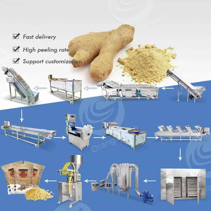 Ginger Curing Process ORME Ginger Powder Make Machine Turmeric Process Plant Small Garlic ...