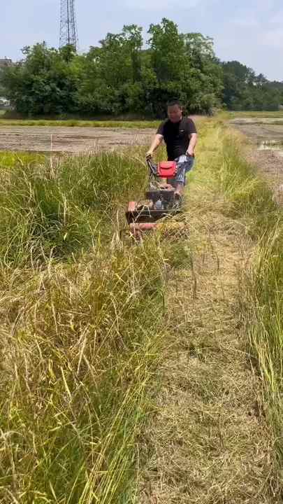 ロンスヒン 196CC ガソリンハンマー 自走式草刈機 60cm 刈幅
