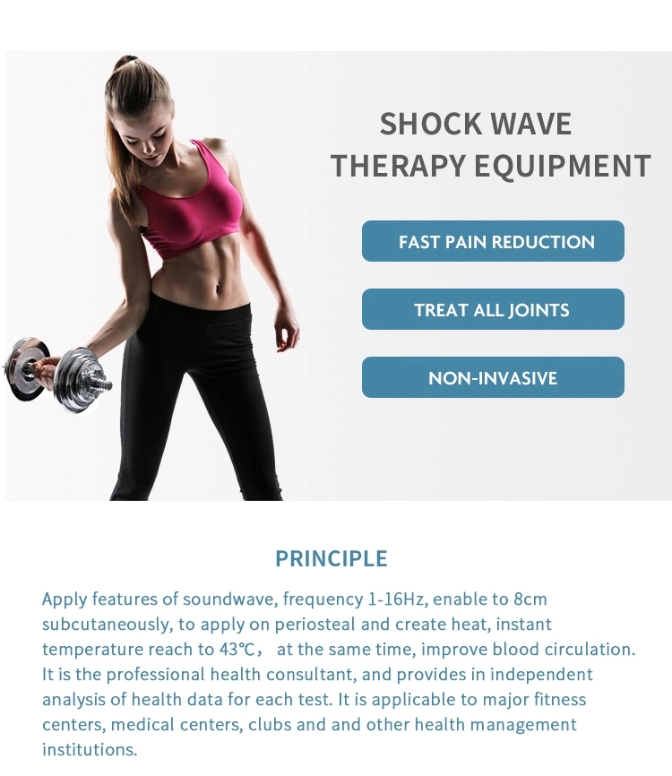 Portable Body Pain Relieve Therapy Equipment / Shock wave Machine / Shockwave SW8