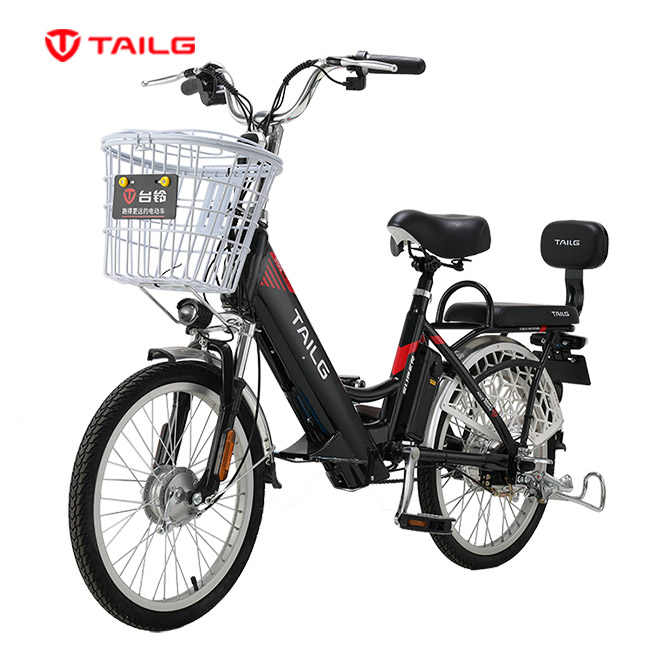 Tailg e bike battery price sale