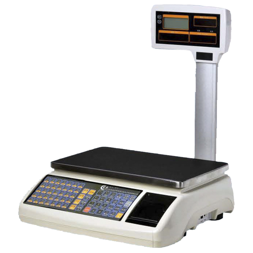 Весовой терминал в10. Интерфейс весов. Весы электронные 200кг. Весы для мяса. Лабораторные весы ohaus spx421.