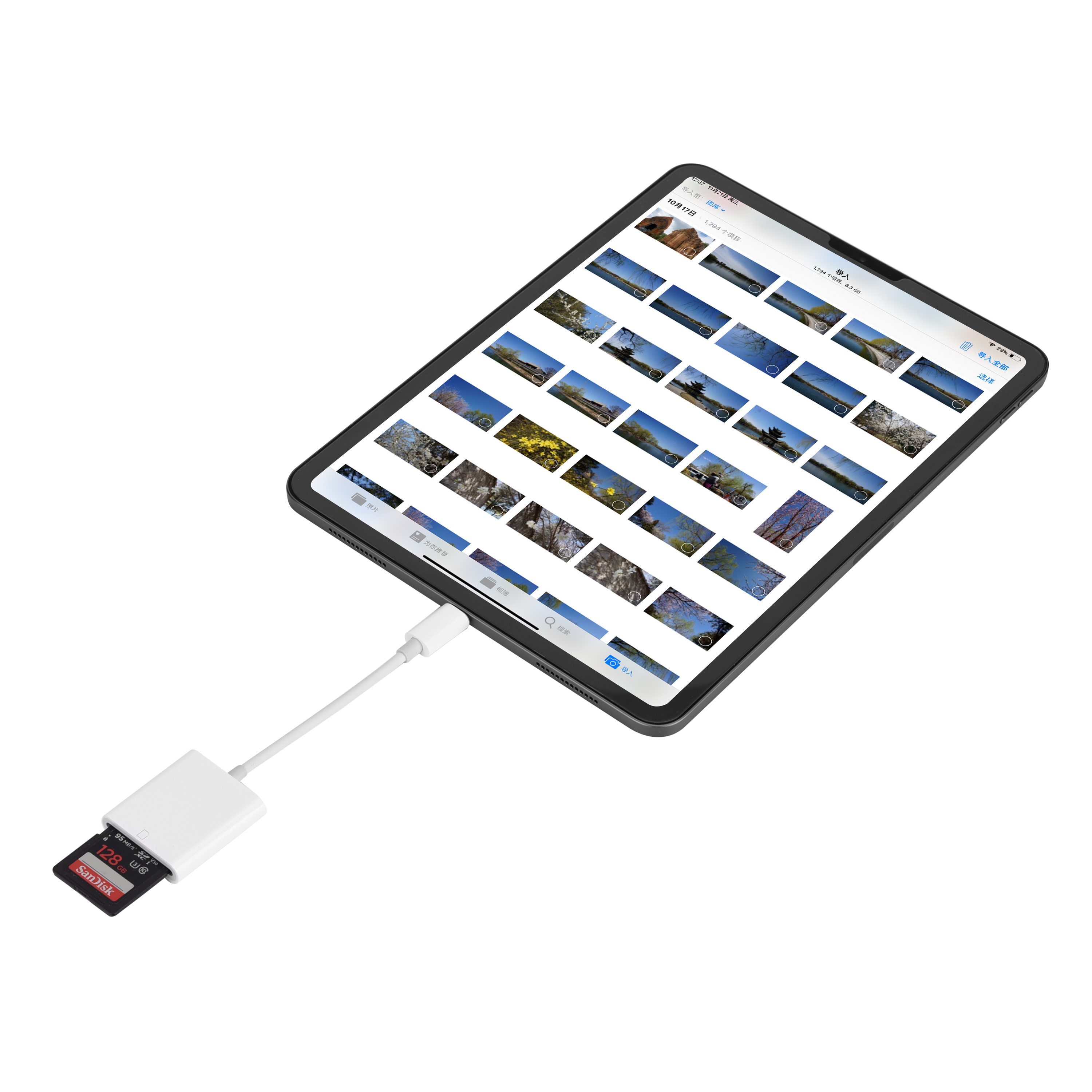 2020 Hot Sales Type-C to SD Card Camera Reader USB C to SD Card Adapter