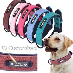 dog accessories manufacturers