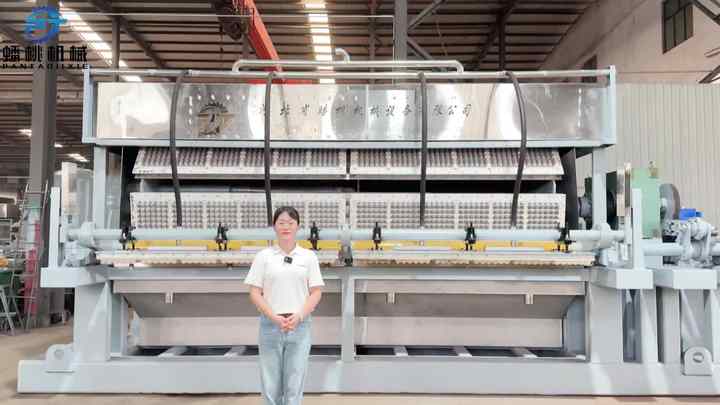 High Speed Automatic Pulp Molding Egg Tray Making Machine Waste Paper ...