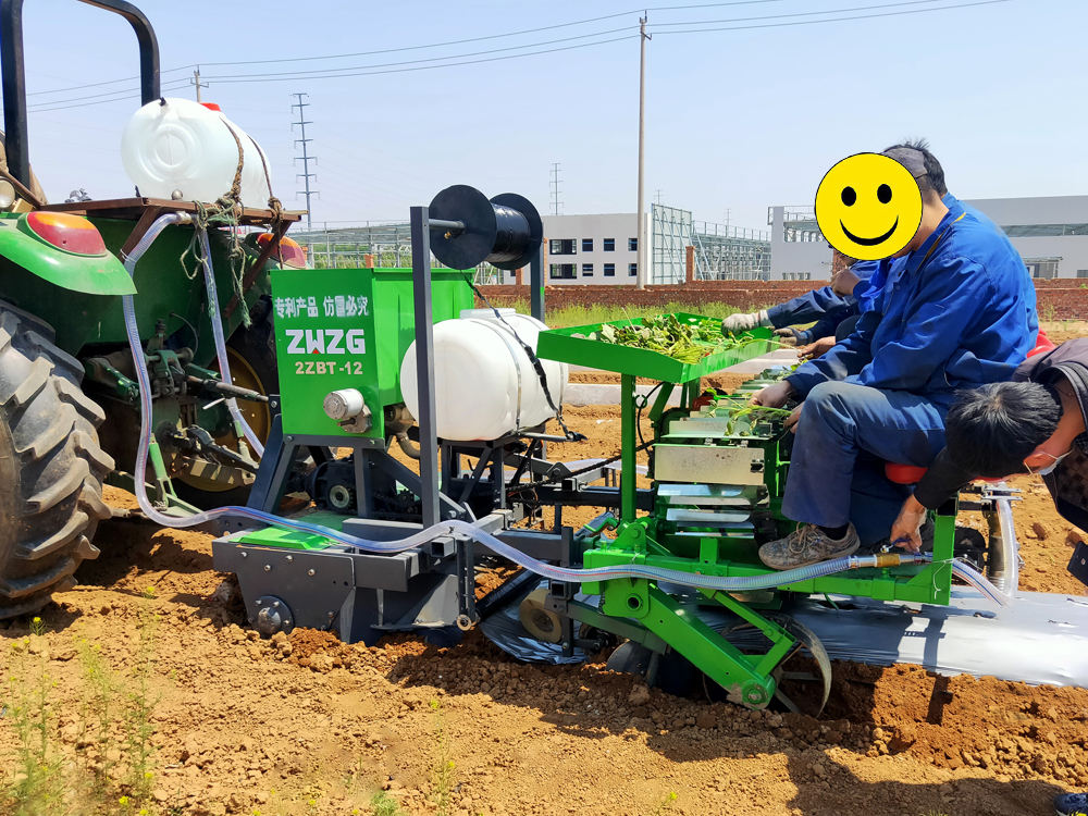 多機能斜め苗植栽ボートサツマイモ苗植栽ボトムタイプシーダー