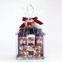 OEM China wholesale pomegranate label moisturize body care spa beauty bath gift set for children& adult