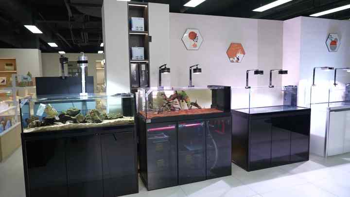 Yee Aquarium Arowana Fish Tank Large Glass Ecological Tank