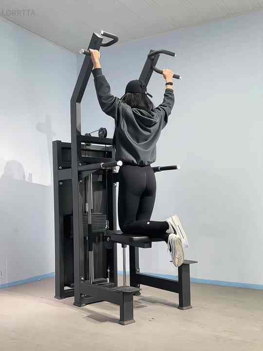 Maintenance-Free Adjustable Steel Single and Double Bars Assisted Pull ...
