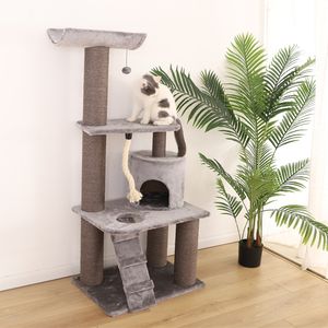 Rechercher Les Fabricants Des D 39 Argan Arbres Pour La Vente Produits De Qualite Superieure D 39 Argan Arbres Pour La Vente Sur Alibaba Com