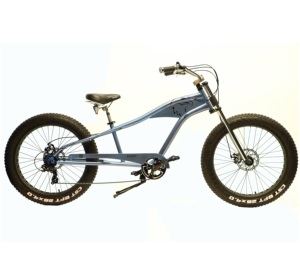 renger cycle new model