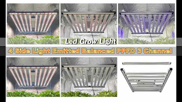 Samsung LM301H Evo 1000W Full Spectrum Indoor Plant LED Grow