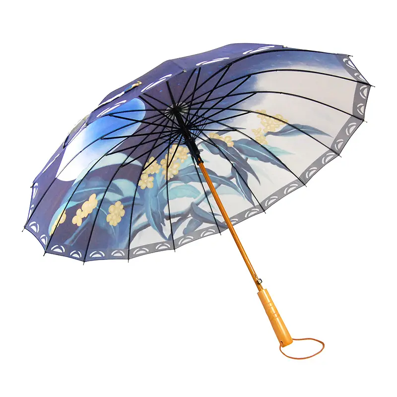 Где найти зонтики. Зонт фултон37874607. Китайский зонтик. Зонт Китай. Красивые зонты женские.