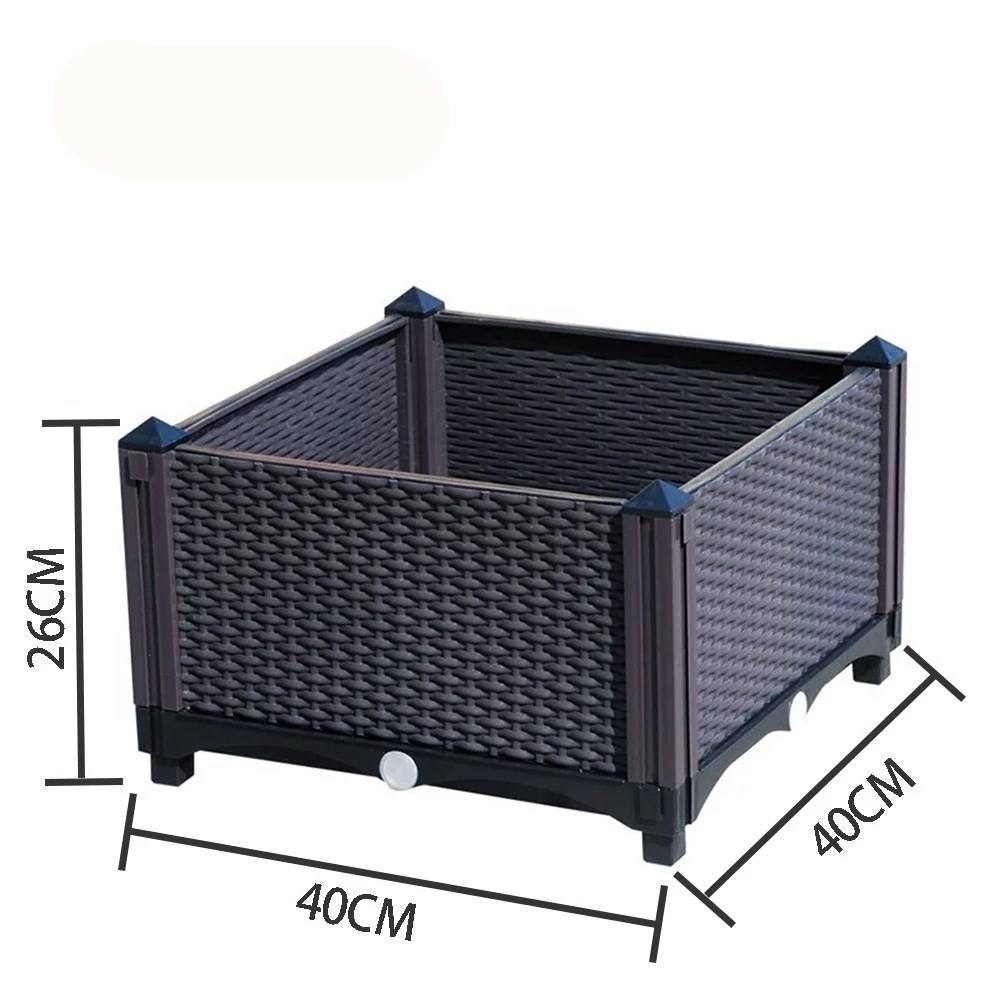 Großhandel gemüse pflanzen balkon Kaufen Sie die besten gemüse pflanzen