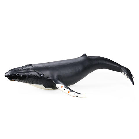 热卖充气动物玩具模型黑鲸驼背软性乙烯海洋动物为孩子