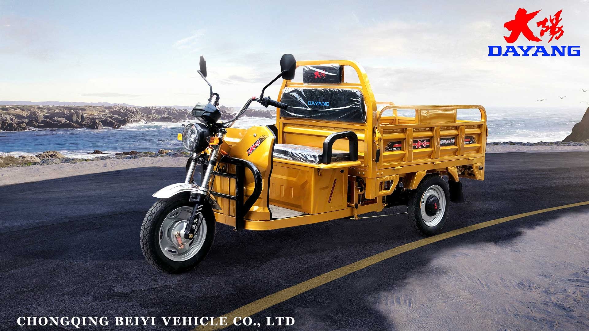 Mobility Electric Vehicle  DY-160-1 Electric Tricycles Electric Cargo Tricycle Electric motorcycle DAYANG factory
