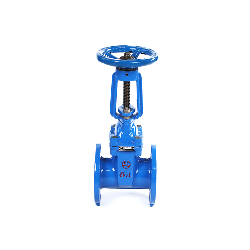 Resilient Seated Gate Valve With Competitive Price