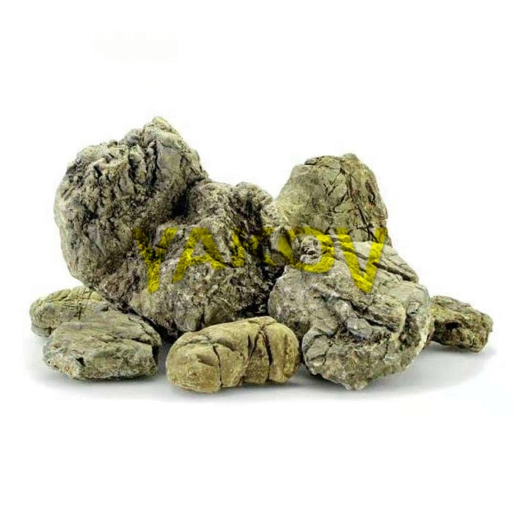 dragon fish tank decorations