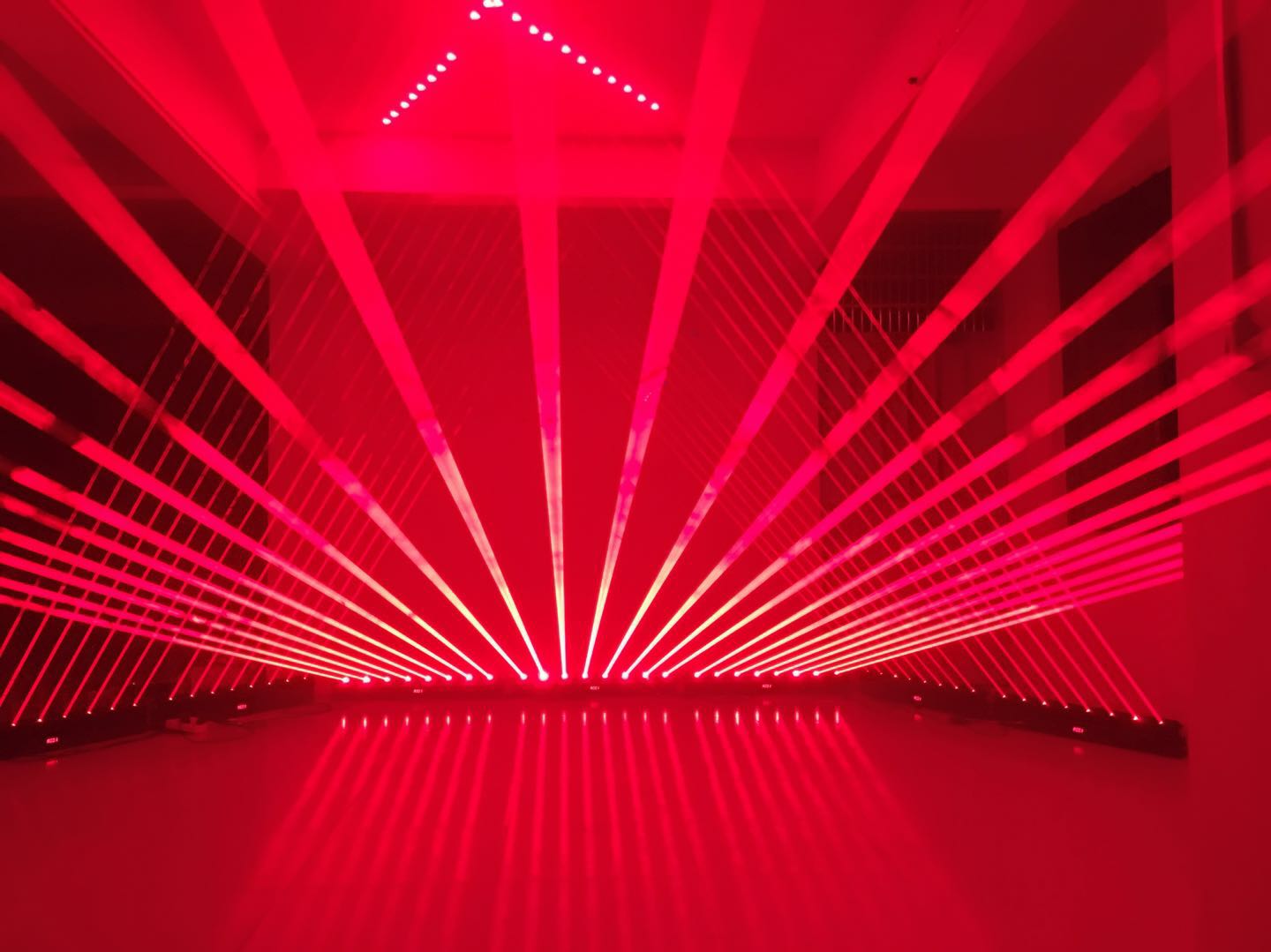 8 Eyes DJ Disco Move Head Laser Lamp Stage Lighting Party Rotating Beam Red Laser Light